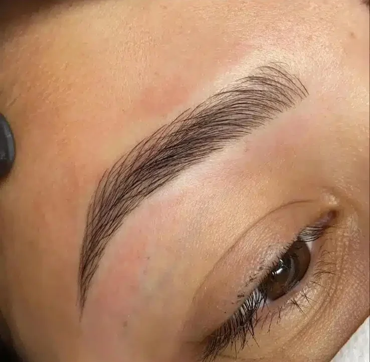 formation sourcils